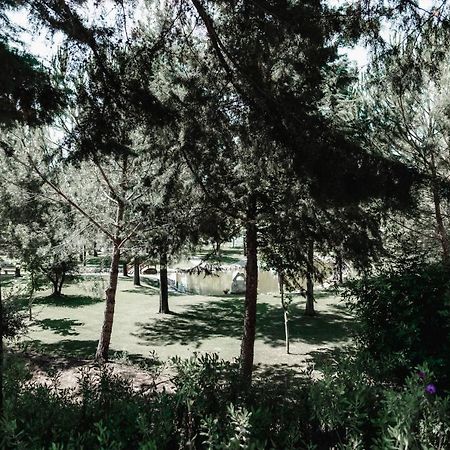 Quinta Do Cerrado Setubal Pensionat Eksteriør billede